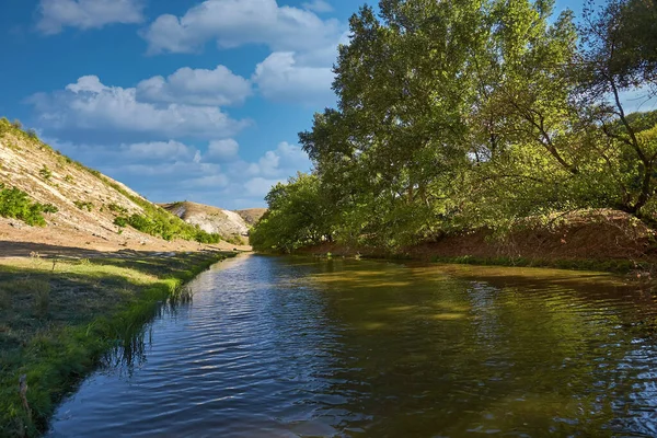 Sungai Yang Indah Banyak Tanaman Hijau Dan Pohon Pohon Refleksi — Stok Foto