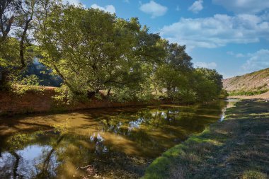 Güzel bir nehir, bir sürü yeşillik ve ağaçlar, suda güzel bir yansıma..