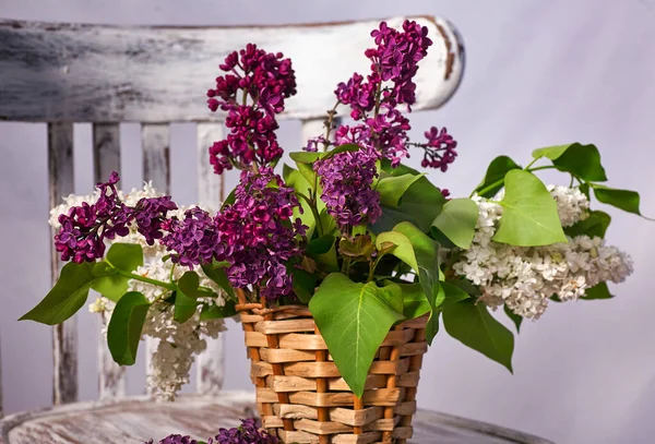 Fliederstrauß Vase Auf Vintage Holzstuhl — Stockfoto