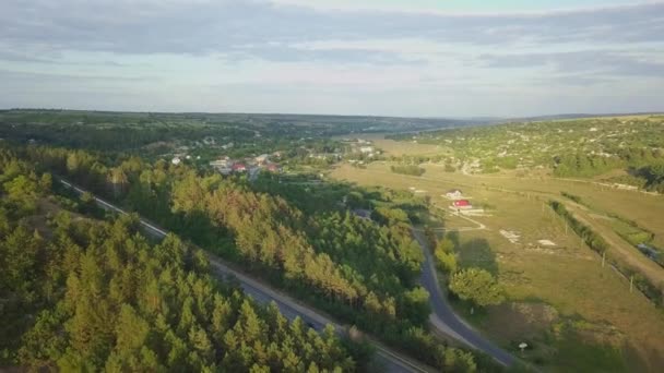 森の中の道路上のビデオドローンの空中ビュー — ストック動画