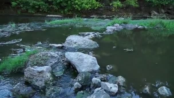Wild Mountain River Close Up. Walking over stones through a mountain river — Stock Footage Wild Mountain River Close Walking Stones Mountain River Royalty Free Stock Video