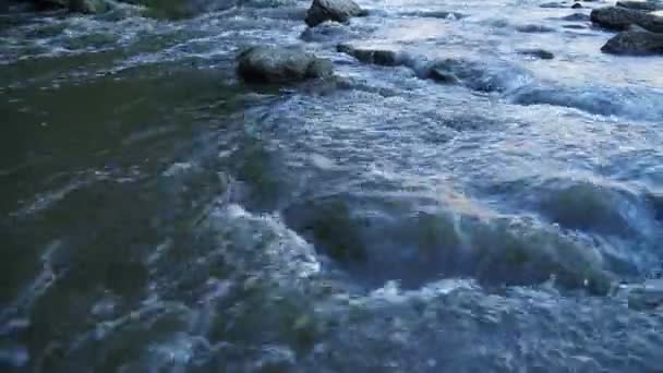 Rivière Wild Mountain Fermer Abondance Clear Stream Détail Prise Vue — Video