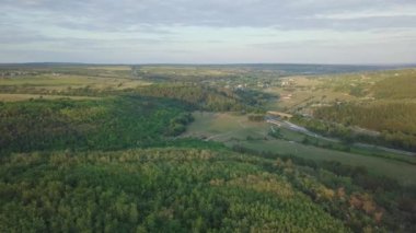 Ormandaki yol üzerindeki hava aracı görüntüsü.