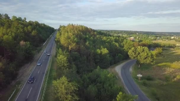 森の中の道路上のビデオドローンの空中ビュー — ストック動画