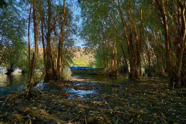 Fluss Und Altes Blaues Ruderboot Zwischen Bäumen — Stockfoto
