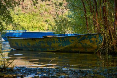 Nehir ve Eski Metal Mavi Kürek Balıkçı teknesi ağaçların arasına açılır