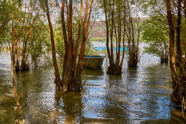 Fluss Und Alte Metall Ruderboot Fischerboot Ancored Zwischen Bäumen Hochwasser — Stockfoto