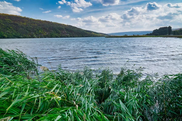 Reeds Rio Azul Céu Vith Nuvens — Fotografia de Stock