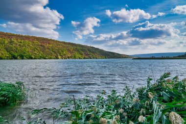 Mavi nehirdeki sazlıklar ve gökyüzü bulutları