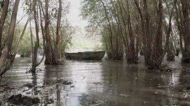 River ve Old Metal Kürek Balıkçı teknesi ağaçların arasına açılır. Yüksek su.