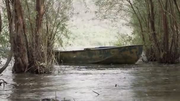 川と古い金属ボート釣りボートの木の間に停泊 高い水 — ストック動画