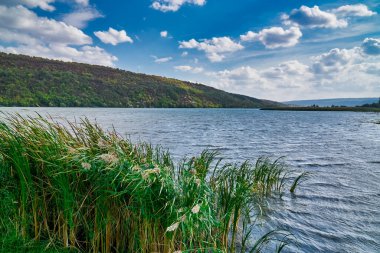 Mavi nehirdeki sazlıklar ve gökyüzü bulutları