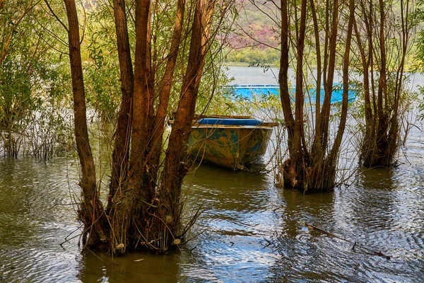 Rivière Vieux Bateau Pêche Aviron Métal Ancré Entre Les Arbres — Photo