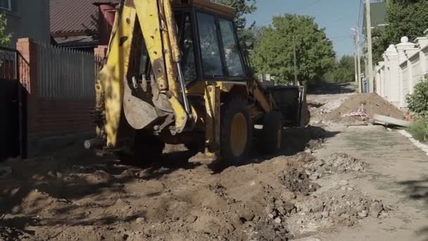지렁이 가 땅을 움직이는 일을 하고 있는 모습. — 비디오