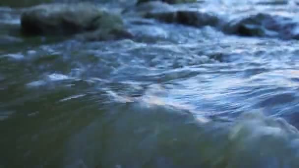 Wild Mountain River Közelkép Bőségesen tiszta patak. Részlet Statikus felvétel a Babbling Creek-ről a Stone Boulders Flowing-al. Rock Rapid gyors fröccsenő víz. — Stock videók
