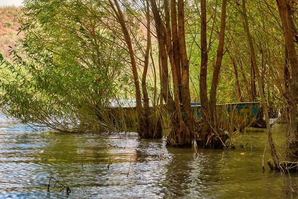 River ve Old Metal Kürek Balıkçı teknesi ağaçların arasına açılır. Yüksek su. — Stok fotoğraf