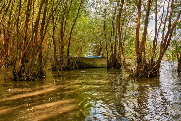 Fluss und alte Metall-Ruderboot Fischerboot ancored zwischen Bäumen. Hochwasser. — Stockfoto