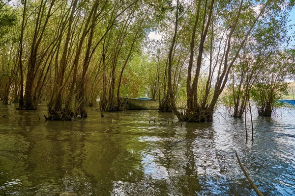River Old Metal Remo Barco Pesca Ancored Entre Árvores Água — Fotografia de Stock