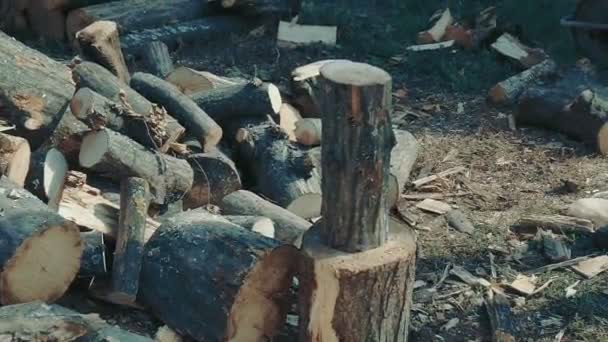 Homens Cortando Lenha Para Aquecimento Casa — Vídeo de Stock