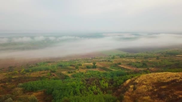Медленно Глядя Реку Днестр Маленькую Деревню Покрытую Туманом Утренним Солнцем — стоковое видео