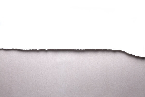 White torn paper on gray background. collection paper rip