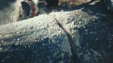 Tahta kütüğü testere ile kesiliyor.