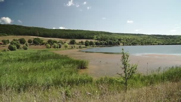 Paisagem Pequeno Lago Florestal Coberto Juncos Superfície Calma Lago — Vídeo de Stock