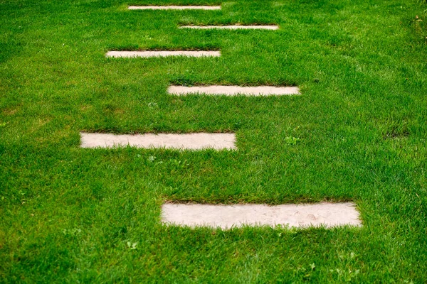 Garden Design Lawn Walkways Terrace Royalty Free Stock Images