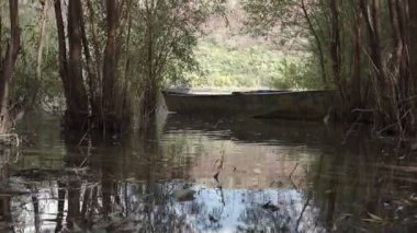 River ve Old Metal Kürek Balıkçı teknesi ağaçların arasına açılır. Yüksek su.