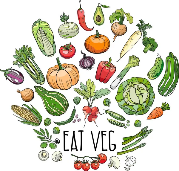 Olika färgglada grönsaker Vektorgrafik
