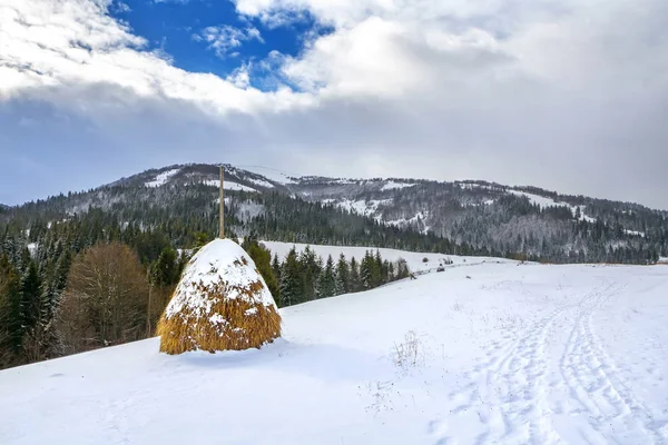 Paesaggio Invernale Con Pagliaio Sullo Sfondo Montagne Innevate Pineta — Foto Stock