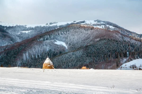 Winterlandschap Een Hooiberg Achtergrond Van Met Sneeuw Bedekte Bergen Bos — Stockfoto