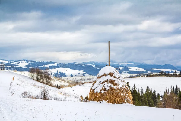 Zimní Venkovské Krajiny Obrazy Pozadí Zasněžených Hor Lesů — Stock fotografie