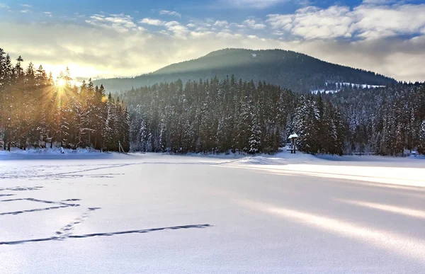 Ghiaccio Coperto Nevoso Lago Synevyr Inverno Splendida Posizione Montagna Boscosa — Foto Stock