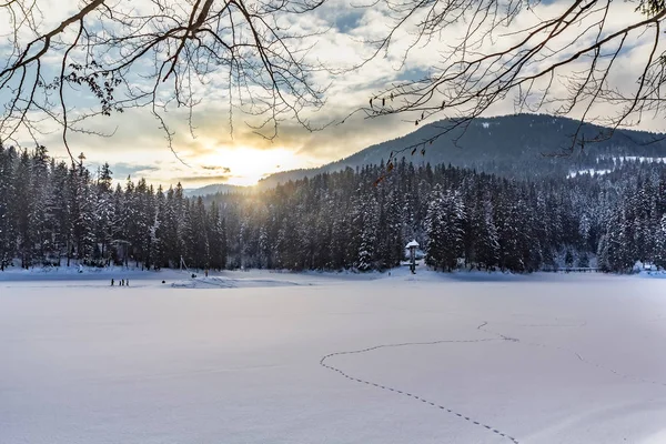 Zimě Nádhernou Polohu Zalesněném Karpaty Pokryt Ledem Jezero Synevyr — Stock fotografie