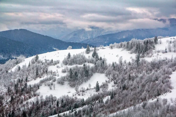 林に覆われた冬景色 雪に覆われた山脈 — ストック写真