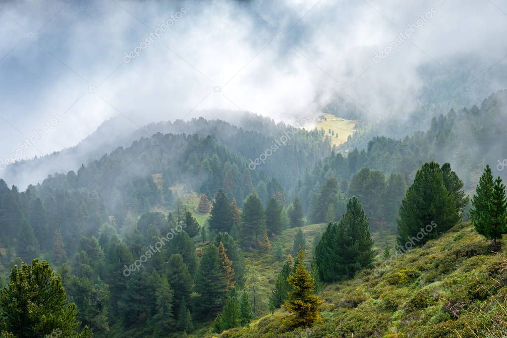 Forest and pastures on the slopes of alpine mountains in the clouds