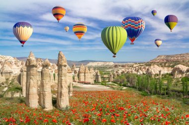 Sıcak hava balonları bir alan haşhaş ve Aşk Vadisi, Kapadokya, Türkiye'de rock manzara üzerinde uçan