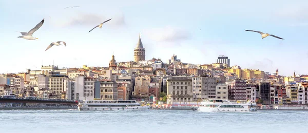 Panorama Estambul Con Torre Galata Horizonte Gaviotas Sobre Mar Amplio — Foto de Stock