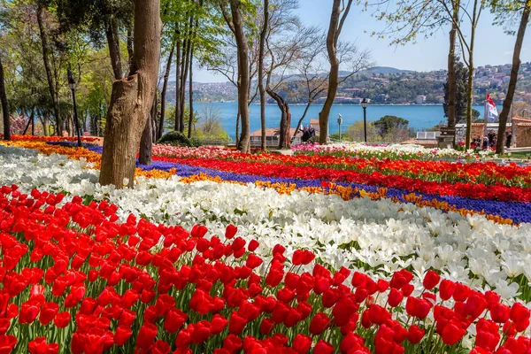 Helle bunte Tulpenbeete im Tulpenfestival Emirgan Park, Istanbul, Türkei — Stockfoto
