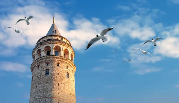 Menara Galata dan burung camar di latar belakang awan dan langit biru, Turki, Istanbul — Stok Foto