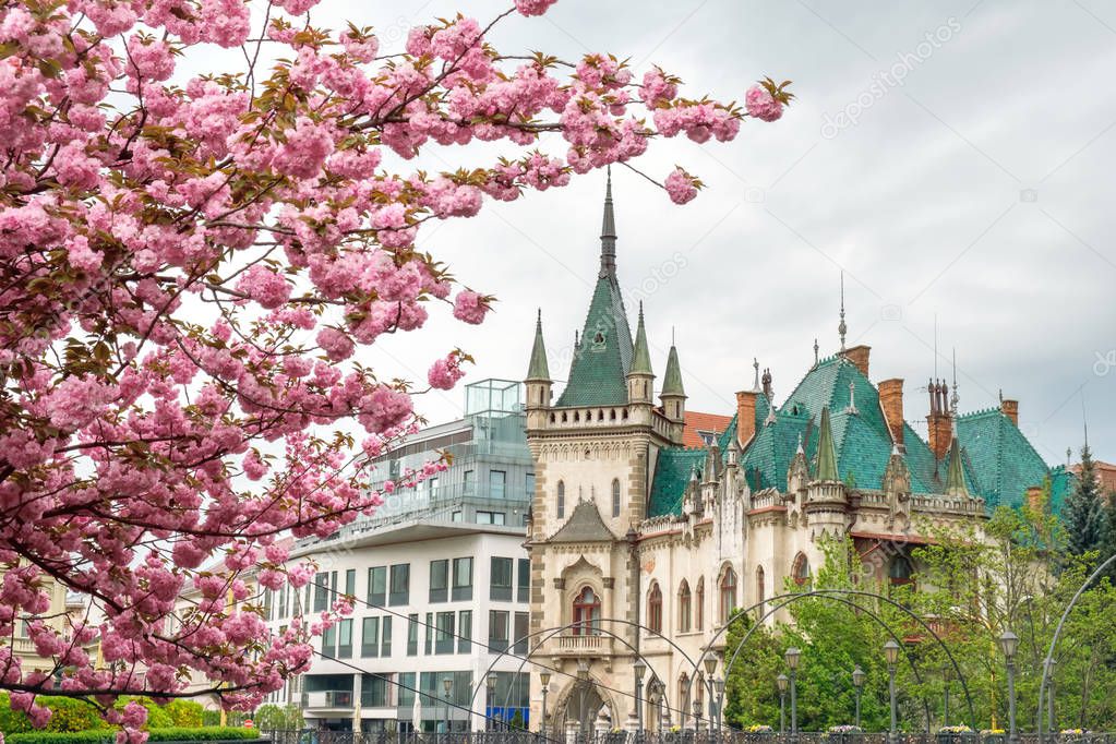 Cityscape Kosice, Slovakia with a historical building Jakab Palace on a background of blossoms sakura in the spring day 