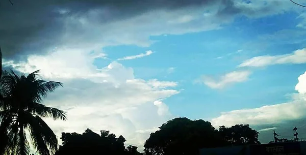 ココナッツの木の青い空 — ストック写真