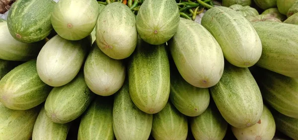 Primo Piano Cetriolo Fresco Testardo Sano — Foto Stock