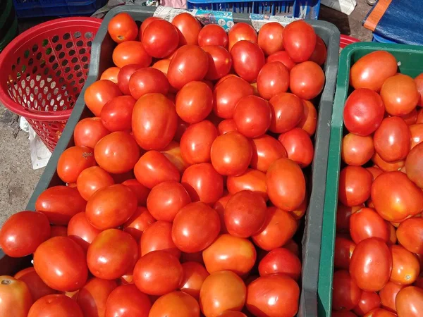 Caldo Tomate Fresco Sabroso Saludable Tienda —  Fotos de Stock