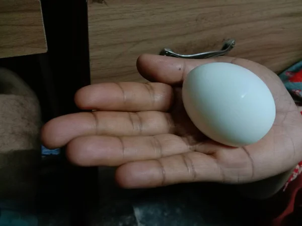 Tasty Healthy Egg Closeup Hand — Stock Photo, Image