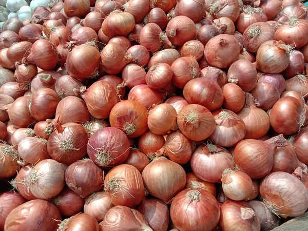 Gesunde Und Würzige Zwiebelbrühe Geschäft — Stockfoto