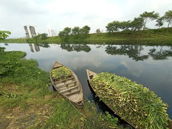 湖上有草的黑色木船 — 图库照片