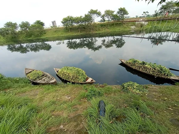 Черный Цвет Деревянная Лодка Озере Травой — стоковое фото