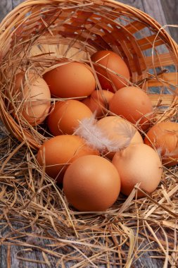 köy yumurtaları sepet